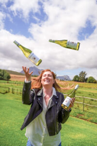 Middelvlei Wines Stellenbosch